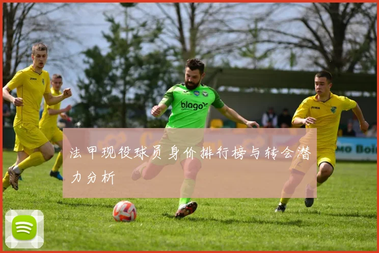 法甲现役球员身价排行榜与转会潜力分析