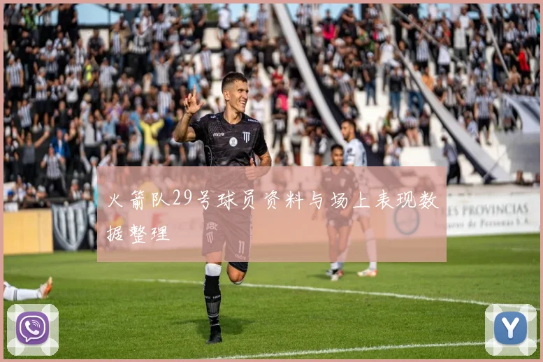 火箭队29号球员资料与场上表现数据整理