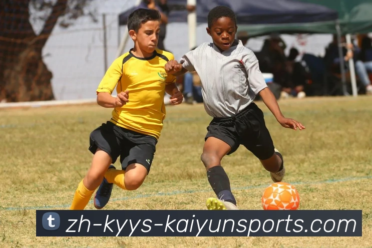 ky开云服务体系